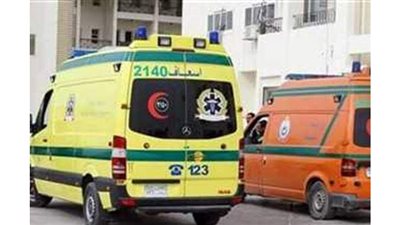 بالأسماء.. مصرع وإصابة ١٦ شخصا في  انقلاب سيارة بجنوب البحر الأحمر