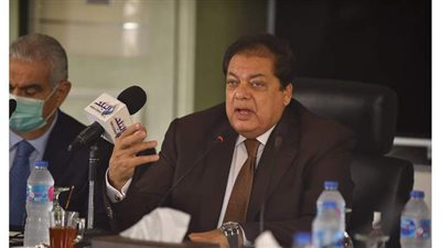 أبو العينين: مصر قادرة على زيادة استثماراتها بدعم القيادة السياسية