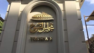 خلاف حول الشعبة البرلمانية في مناقشات لائحة مجلس الشيوخ