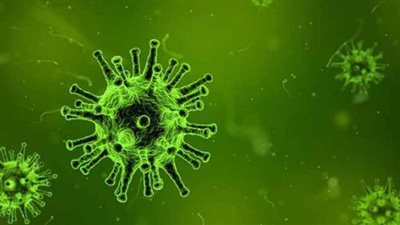 تعرف على كيفية حجز موعد فحص كورونا