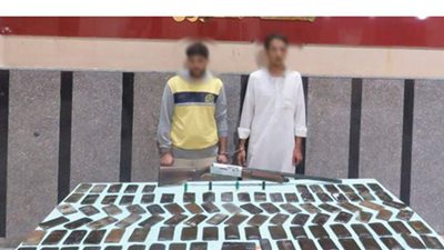 حبس 4 عناصر إجرامية عثر بحوزتهم على 250 طربة حشيش