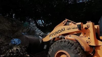 لحظة تنفيذ إزالة فورية لتعد على أرض زراعية في طلخا بالدقهلية