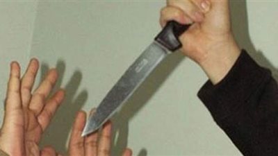 مرتكب المذبحة الأسرية بالجيزة: 