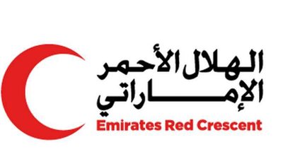 مصر تُدين الاعتداء على طاقم طبي تابع للهلال الأحمر الإماراتي في تعز