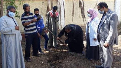 جهاز شئون البيئة بقنا يجمل مدارس وقرى بـ 200 شجرة زيتون | صور