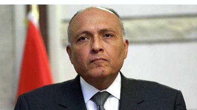 الخارجية ترفض تدخل فرنسا في الشأن الداخلي المصري