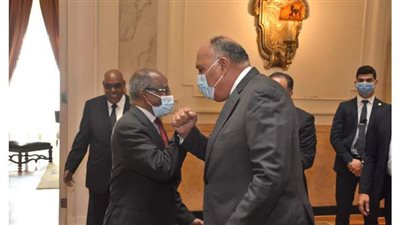 شكري يبحث التطورات الأخيرة في القرن الأفريقي مع وزير خارجية إريتريا