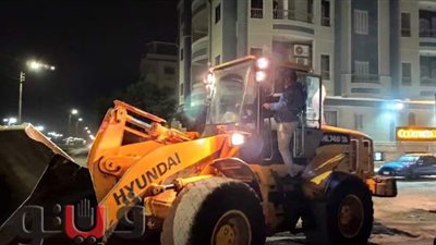 القضاء على بؤرة القمامة بمنطقة أرض المزادات بالإسماعيلية | صور