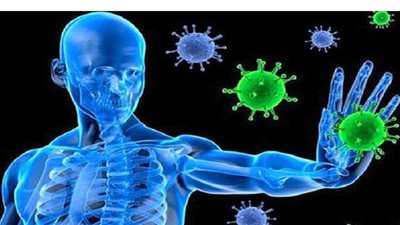 فاكهة تقوى المناعة فى الشتاء..اكثرى منها