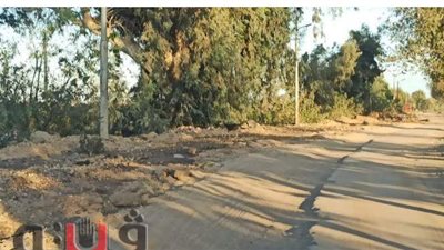 أهالي السنطة يشتكون من طريق 