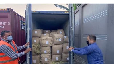 شاهد.. لحظة إحباط إدخال 2.5 طن حشيش بميناء الإسكندرية