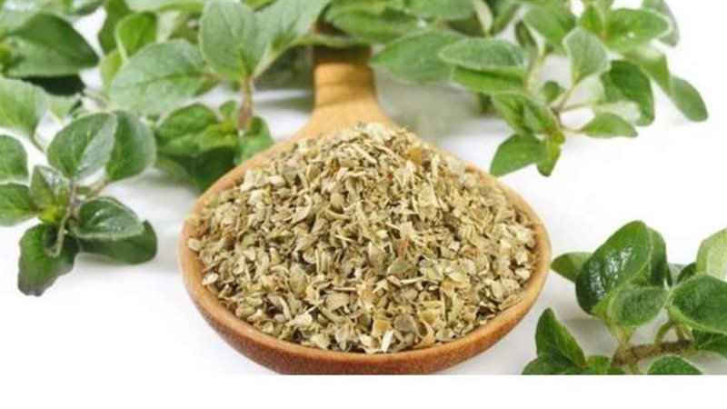 عشبة البردقوش