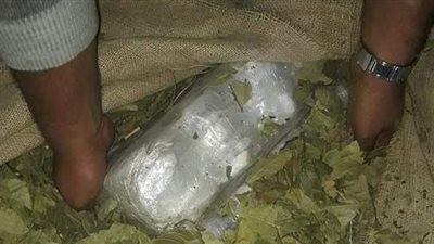 ضبط ٢ طن حشيش بميناء الإسكندرية | صور