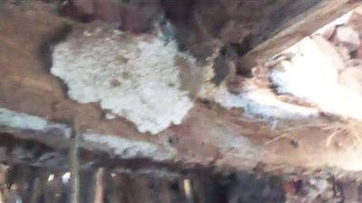 أمن الأقصر يكشف لغز  انهيار المنازل المجاورة لمعبد إسنا| صور