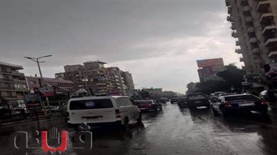 سقوط أمطار على مناطق متفرقة في الغربية | فيديو