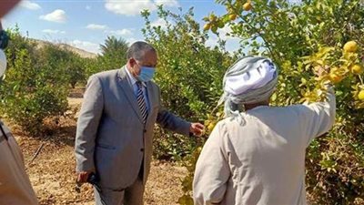 لجنة معاينات على الطبيعة بديروط لتأكيد تسعير أراضي أملاك الدولة