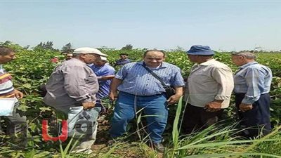 إصابة 4 أشخاص في انقلاب سيارة على طريق العلمين بالبحيرة