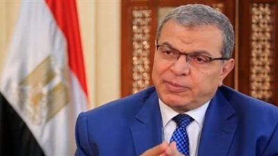 سعفان: 6 ملايين سجلوا في منحة العمالة غير المنتظمة.. بينهم أطفال ومتوفين وأصحاب أملاك