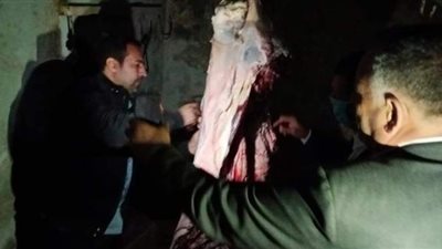 ضبط  لحوم وأسماك مملحة غير صالحة للاستهلاك الآدمي بكفر الشيخ | صور