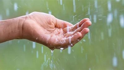 تفسير  رؤية 