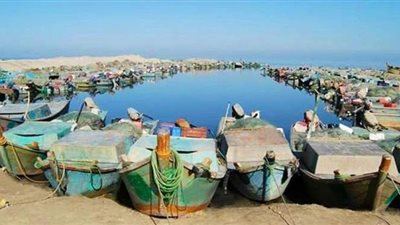 8 معلومات عن مستجدات تنفيذ تكليف الرئيس بدعم صغار الصيادين