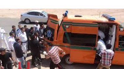 مصرع مزارع وإصابة شقيقه في مشاجرة بملوي بالمنيا