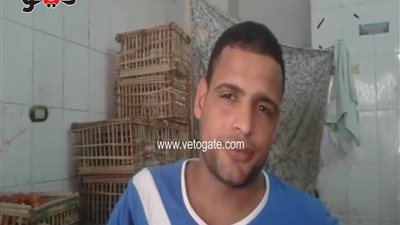 بالفيديو.. استقرار أسعار الخضراوات بالجيزة.. والطماطم بـ4 جنيهات