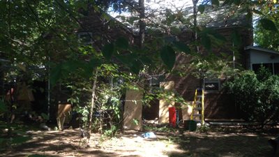 بالفيديو والصور.. نقل رجل يعيش مع 350 حمامة إلى المستشفى