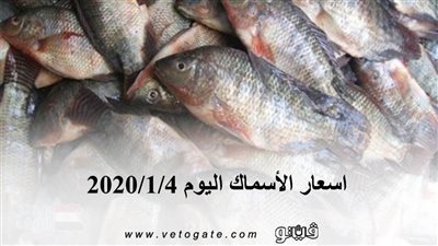 اسعار الأسماك اليوم 2020/1/4