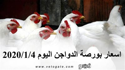 اسعار بورصة الدواجن اليوم 2020/1/4