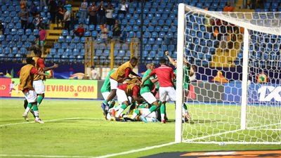 لاعبو مدغشقر يحتفلون بتأهلهم التاريخي مع جمهورهم (صور)