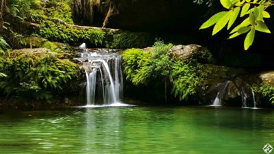 مدغشقر.. فيلم كارتون صنع جلاد أفريقيا (فيديو وصور)