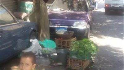 بالصور.. حملة مكبرة لرفع الإشغالات من شارعي الصحافة والجلاء