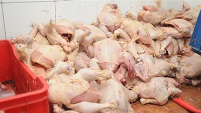 مصادرة ٤١٠ كيلو دواجن مجهولة المصدر في حلوان