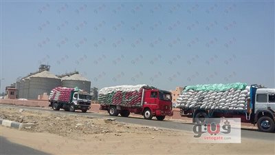 بالصور.. توريد 214 ألف طن قمح لشون وصوامع بني سويف