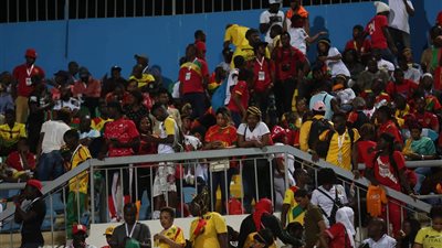 مصري «زملكاوي» يدعم غينيا في مباراتهم أمام الجزائر (صور)