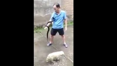 نهاية قاسية لرجل يمازح ثعبانا (فيديو)