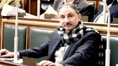 مجدي ملك: رفض جميع شحنات القمح الحاملة فطر الأرجوت