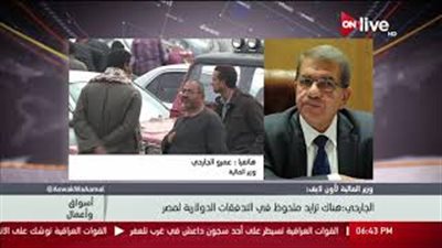 وزير المالية: ارتفاع قيمة الجنيه مقابل الدولار