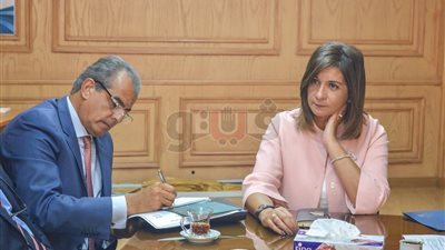 وزيرة الهجرة تطلب دراسة لمشروع صندوق استثماري للمصريين بالخارج