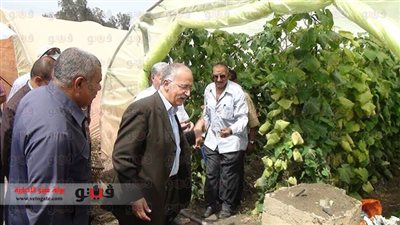 محافظ الدقهلية يزور 22 ألف صوبة زراعية بـ