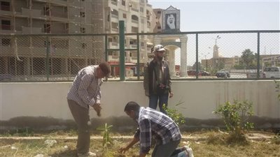 زراعة 10 آلاف شجرة في مبادرة النظافة بالبحيرة
