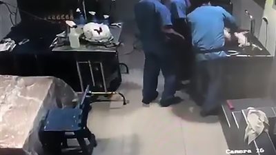 مساعد طبيب بيطري يعتدي على كلب ويفقده وعيه (فيديو وصور)