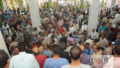 عمومية المقاولون توافق على لائحة النادي بـ«3263 صوتا»