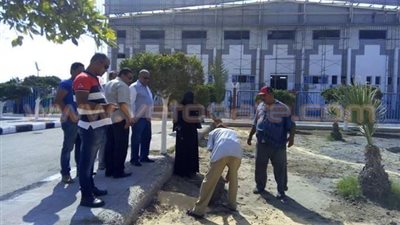 بالصور.. استعدادات بورسعيد لاستقبال دوري الشركات