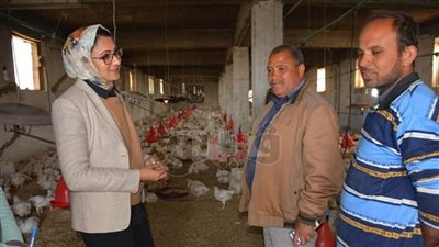 قروض ميسرة بفائدة 5 % للمشاريع الزراعية بالوادي الجديد (صور)