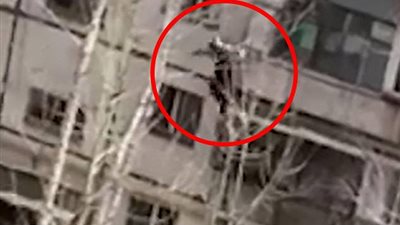 بالفيديو والصور.. لحظة سقوط متهور حاول تسلق نوافذ مبنى