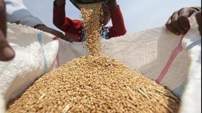 مصر تشتري 240 ألف طن من القمح الروماني والروسي