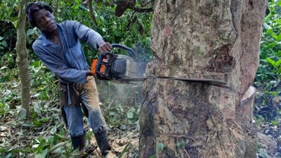 الكونغو الديموقراطية تطرد نشطاء منظمة جلوبال ويتنس