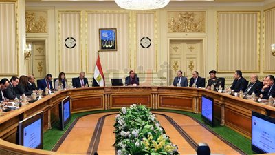 مدبولي يناقش مقترح مشروع قانون تنظيم نشاط التطوير العقاري (فيديو)